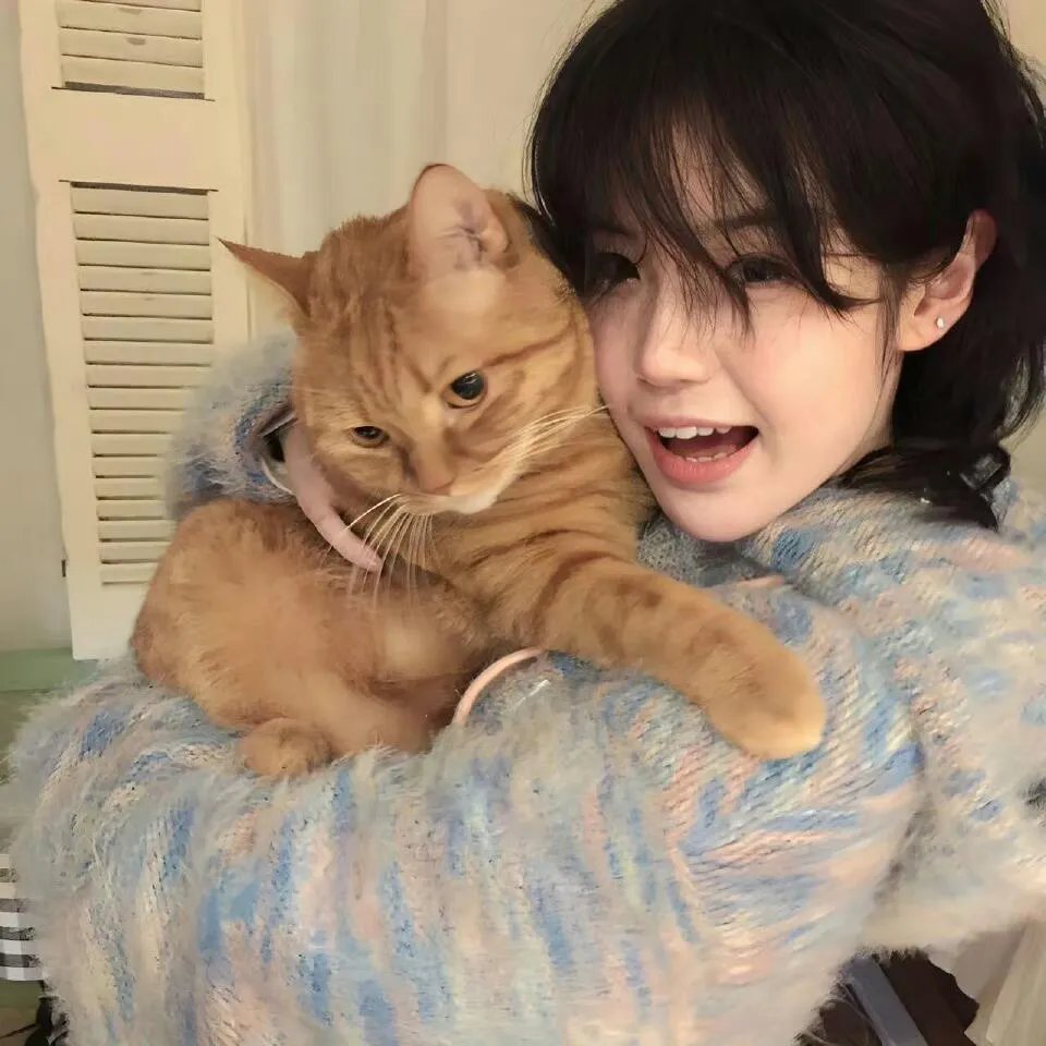 怪猫菲力兹